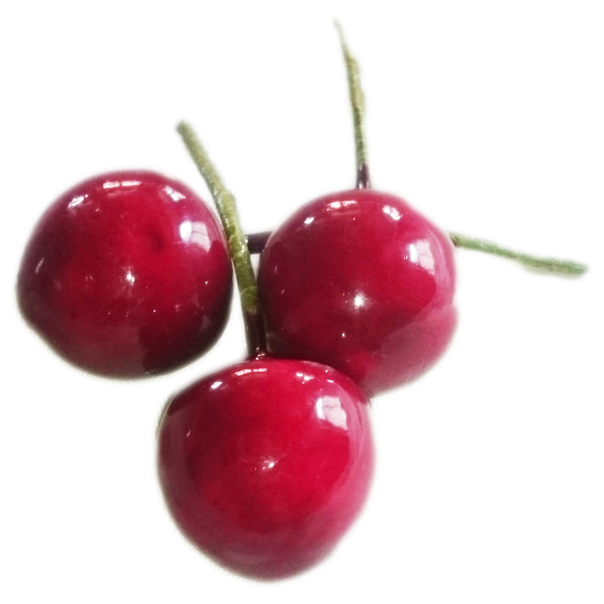 Sybille Zanoll – Großhandel für Dekorationsartikel