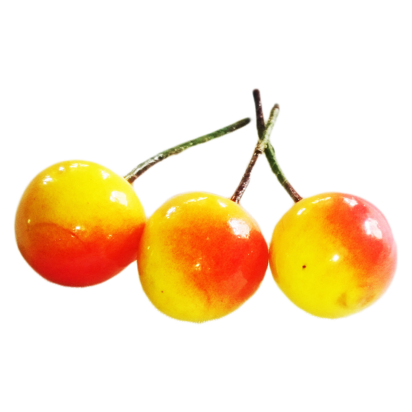 Sybille Zanoll – Großhandel für Dekorationsartikel